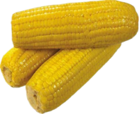 corn on the cob